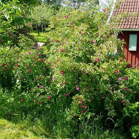 Lerdala Langesater B&B מראה חיצוני תמונה