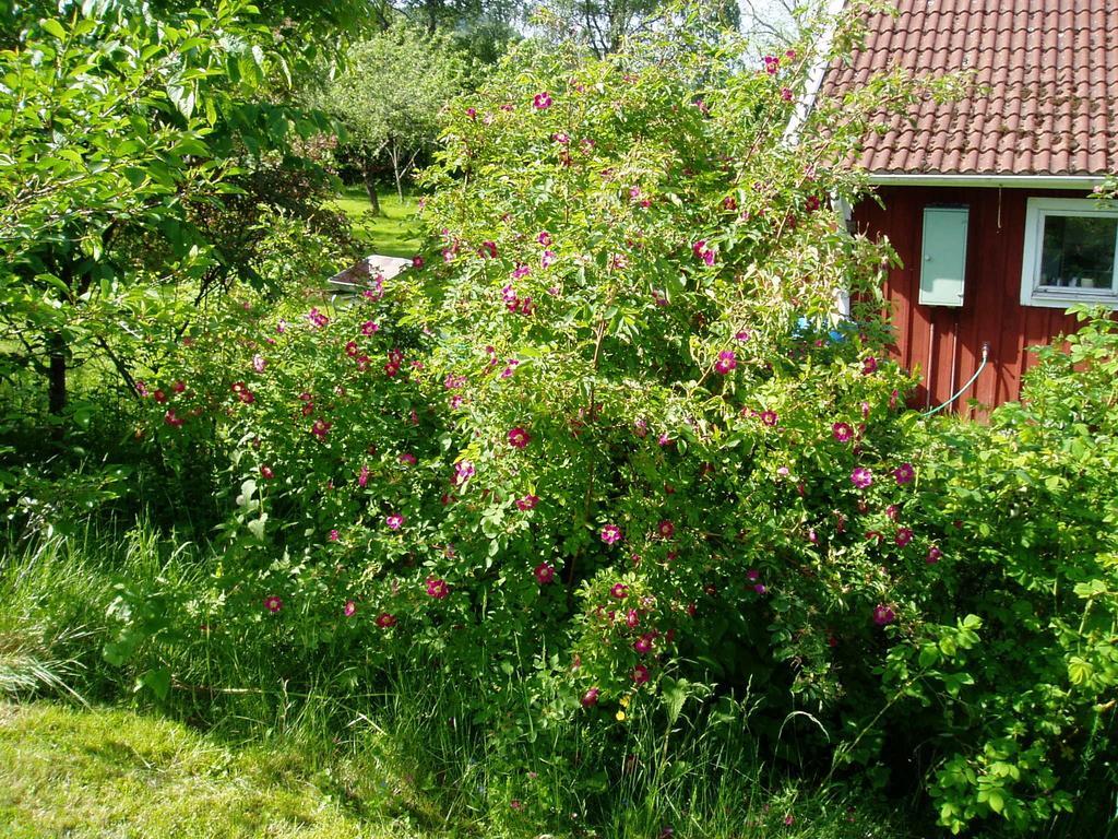 Lerdala Langesater B&B מראה חיצוני תמונה